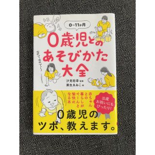 0歳児とのあそびかた大全(住まい/暮らし/子育て)