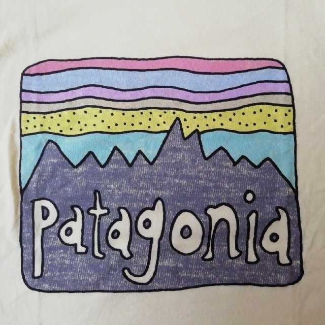 patagonia(パタゴニア)のpatagonia　パタゴニアキッズTシャツ4T キッズ/ベビー/マタニティのキッズ服男の子用(90cm~)(Tシャツ/カットソー)の商品写真