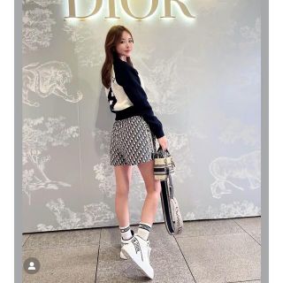 ディオール(Dior)のdior ニットブルゾン34(ニット/セーター)