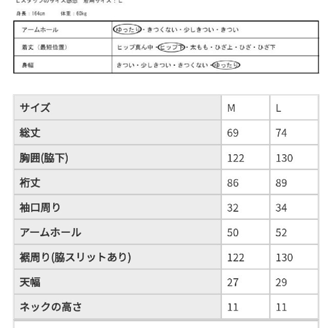 antiqua(アンティカ)のantiqua　プルオーバー レディースのジャケット/アウター(ブルゾン)の商品写真