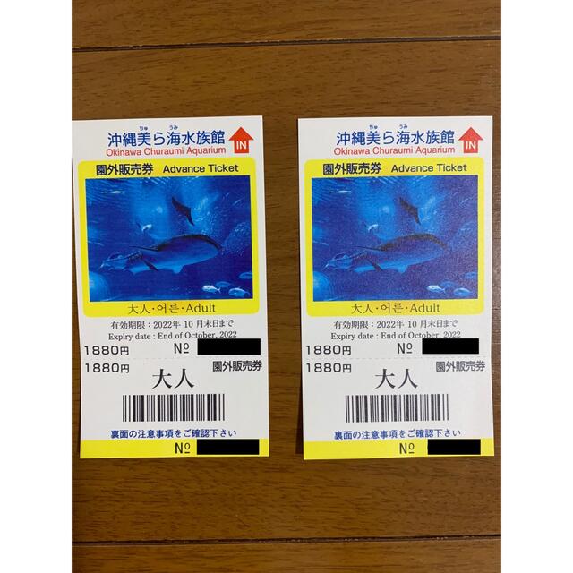 沖縄　美ら海水族館 チケット　大人2枚 チケットの施設利用券(水族館)の商品写真