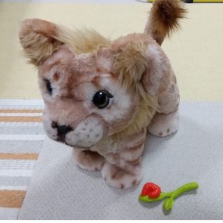 緑林シリーズ シンバ ぬいぐるみ ファーリアル - ぬいぐるみ
