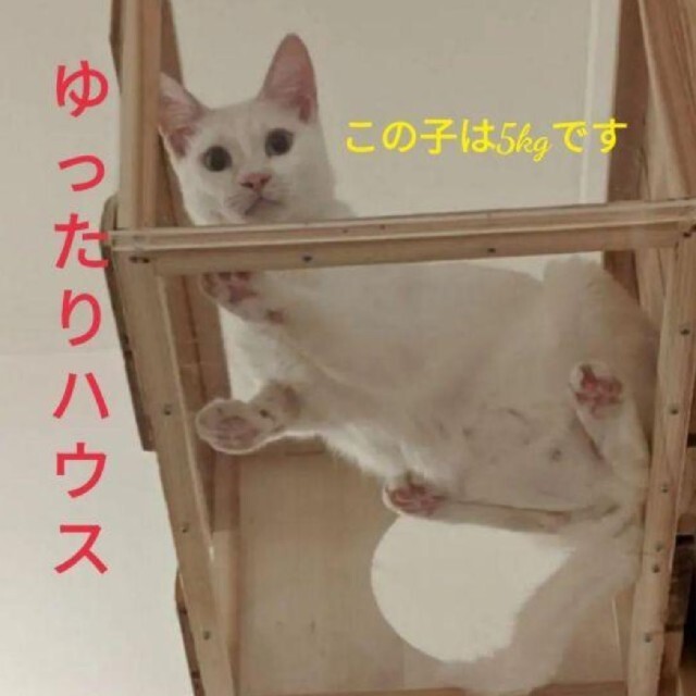 キャットタワー＆猫ハウス その他のペット用品(猫)の商品写真