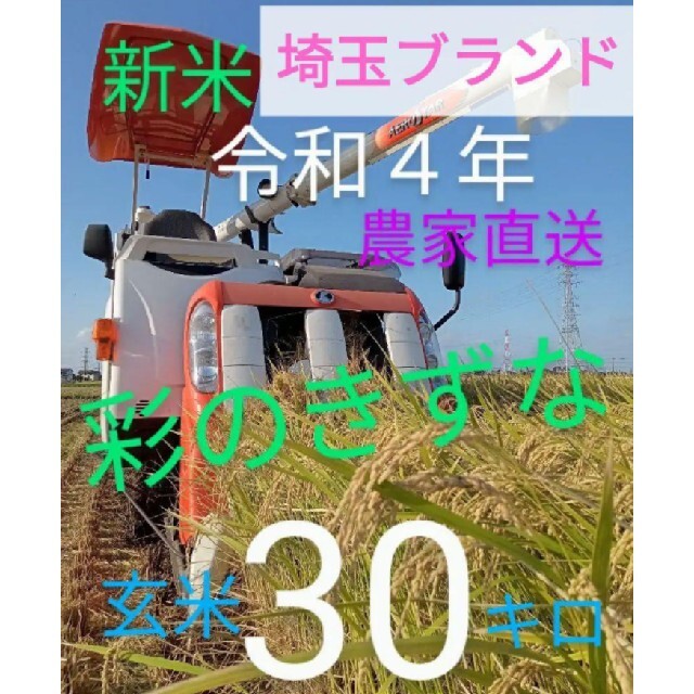 新米 令和4年 埼玉県産 彩のきずな 玄米 30キロ | フリマアプリ ラクマ
