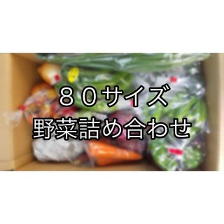 【お買い得】80サイズ　野菜詰め合わせ　野菜ボックス　茨城県産(野菜)