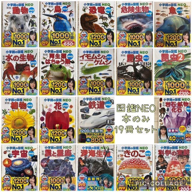 新品同様☆小学館の図鑑NEO 19冊セット ※本のみ、DVD無し トレンド