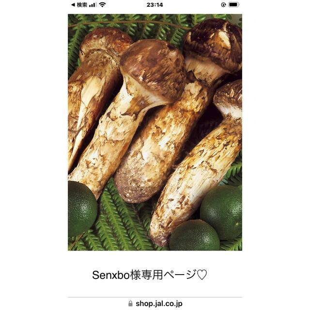 豊後梅さま専用ページ