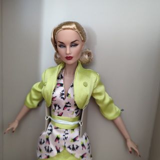 マルチボーダーシリーズ fashion royalty ファッションロイヤリティ
