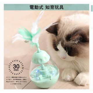 猫 おもちゃ 電動 自動式 羽 ねこじゃらし(グリーン色)(おもちゃ/ペット小物)