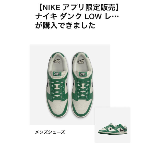 Nike Dunk Low SE ダンクロー ロッタリー 28cm靴/シューズ