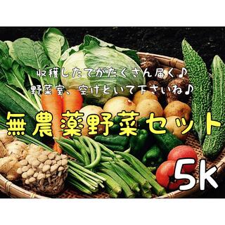 茨城県産無農薬野菜セット詰め合わせ5k(箱込み)(野菜)