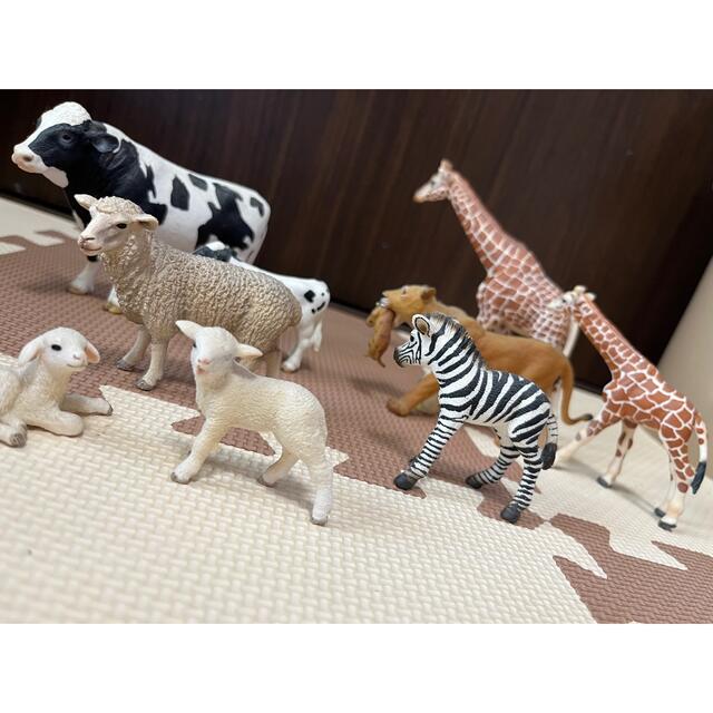 動物　フィギュア　置物　セット エンタメ/ホビーのおもちゃ/ぬいぐるみ(キャラクターグッズ)の商品写真