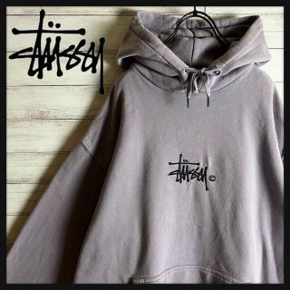 ステューシー パープル パーカー(メンズ)の通販 81点 | STUSSYのメンズ