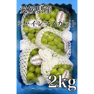 パリッと食感！！愛媛県産　高級【シャインマスカット】 5房 2kg！(フルーツ)