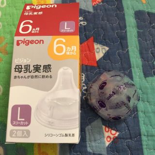 ピジョン母乳実感(L) 1個(哺乳ビン用乳首)
