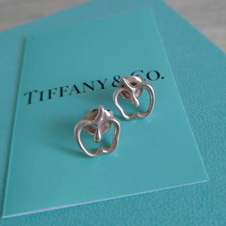 ティファニー(Tiffany & Co.)のティファニー　アップル　シルバー　ピアス(ピアス)