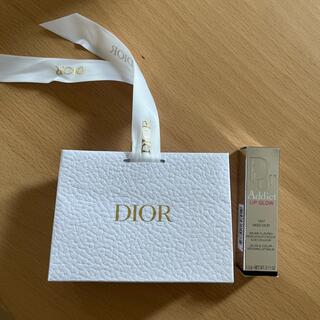 ディオール(Dior)のリップサイズのショッパー(ショップ袋)