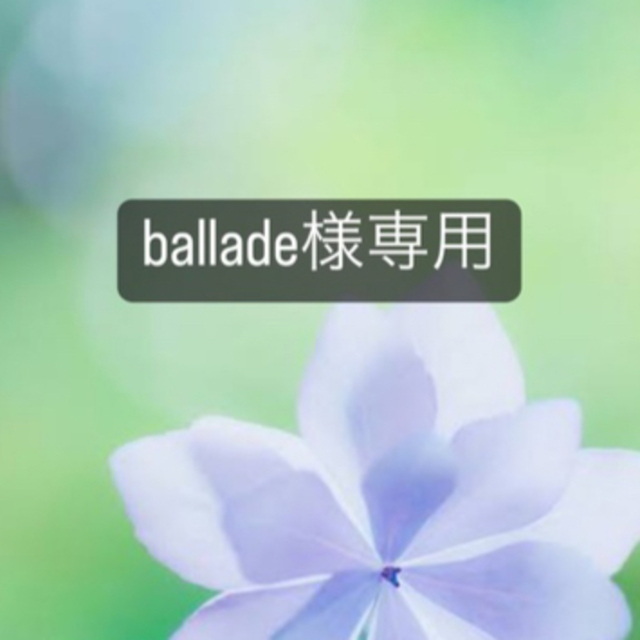 ballade様専用★店舗限定★【サルート】ブラ＆ショーツセットのサムネイル