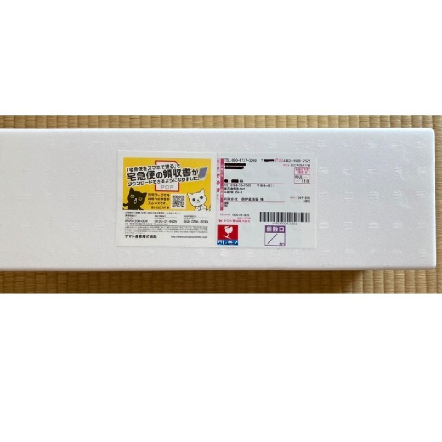 森伊蔵1800ML 2本 2022年9月16日到着 | www.causus.be