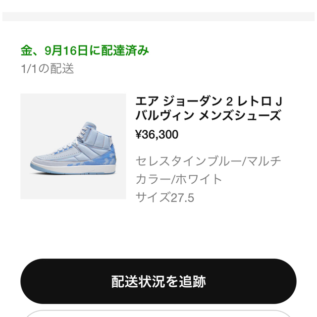 NIKE エアジョーダン2 レトロ　J Balvin 1