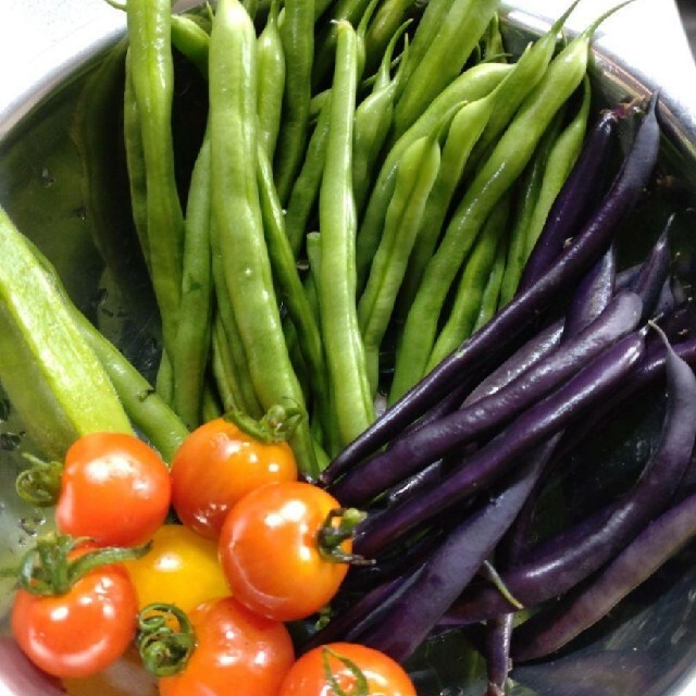 野菜詰め合わせセット　無農薬栽培 食品/飲料/酒の食品(野菜)の商品写真