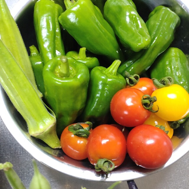 野菜詰め合わせセット　無農薬栽培 食品/飲料/酒の食品(野菜)の商品写真