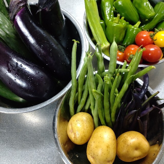 野菜詰め合わせセット　無農薬栽培 食品/飲料/酒の食品(野菜)の商品写真