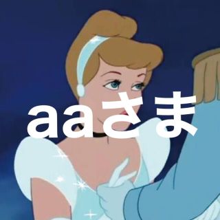 aaさま(ウィッグ)