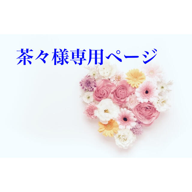 【期間限定!最安値挑戦】 茶々ページ リング(指輪) 【期間限定!最安値挑戦】 茶々ページ リング(指輪)