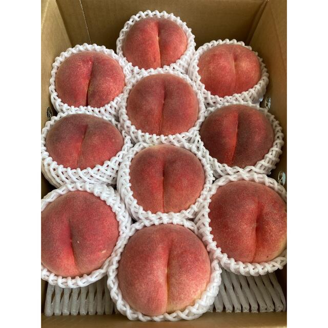 山形県産 減農薬栽培 桃「さくら白桃」ご家庭用 3キロ箱