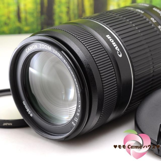 Canon EF-S 55-250mm 望遠ズームレンズ 手ブレ補正付き