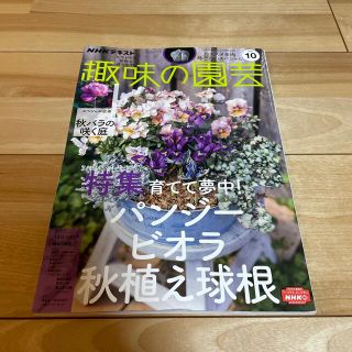 NHK 趣味の園芸 2022年 10月号(その他)