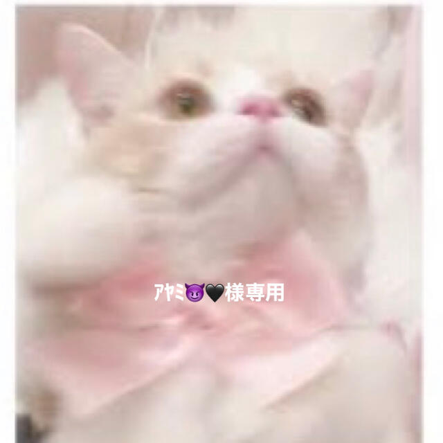 ｱﾔﾐ