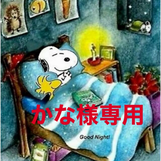 売切り特価 ホラガイのランプ さらに値引きしました。写真も追加