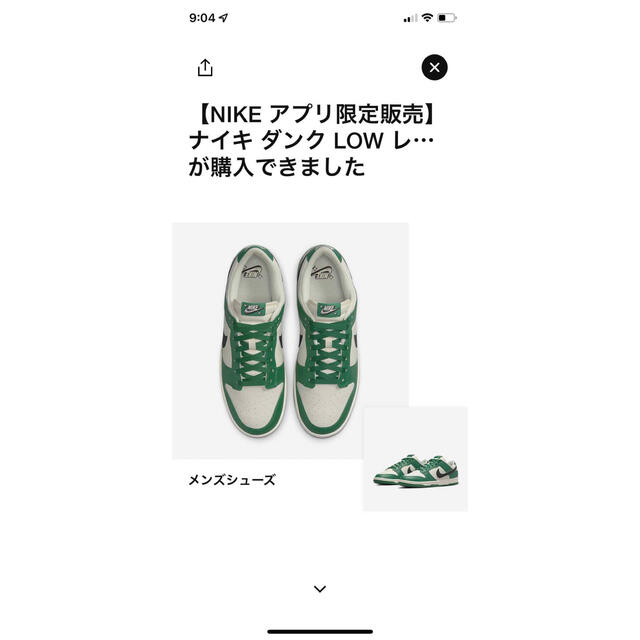 NIKE(ナイキ)のナイキ ダンク ロー SE ロッタリー ペールアイボリー/マラカイト　24.5㎝ メンズの靴/シューズ(スニーカー)の商品写真