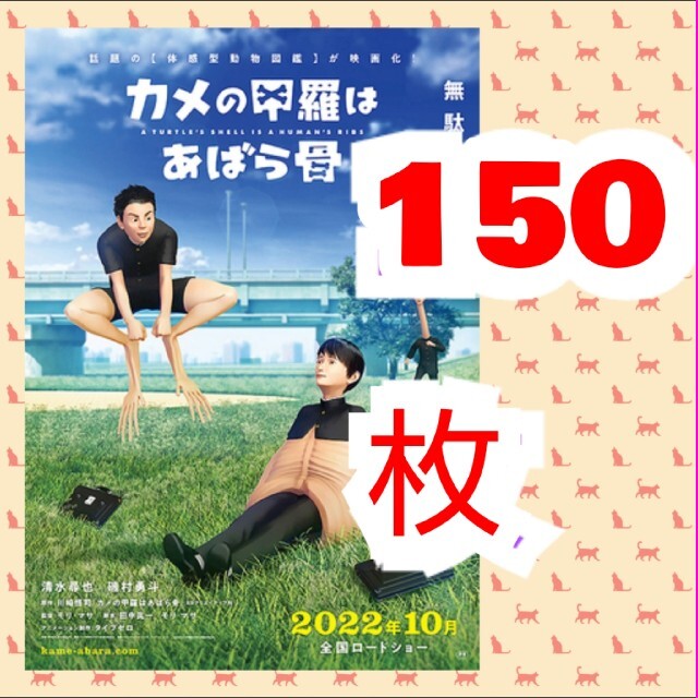 カメの甲羅はあばら骨 第1弾 フライヤー エンタメ/ホビーのコレクション(印刷物)の商品写真