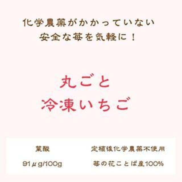 国産無添加冷凍いちご越後姫約1000g×２個合計２kgおまけの苺アイス付き食品/飲料/酒