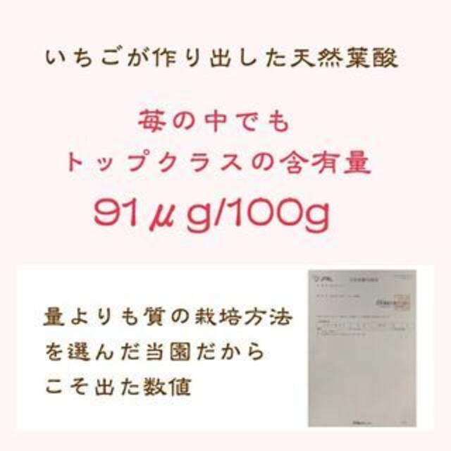 国産無添加冷凍いちご越後姫約1000g×4個合計4kgおまけの苺アイス付き 食品/飲料/酒の食品(フルーツ)の商品写真