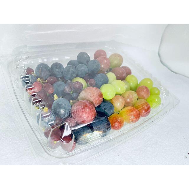 シャインマスカット入りぶどうの宝石5品種バラエティーパック(3人分620g) 食品/飲料/酒の食品(フルーツ)の商品写真