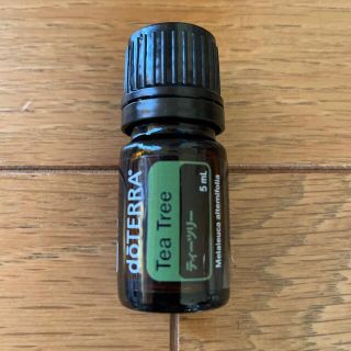 ドテラ(doTERRA)のdoTERRA  ティーツリー５ミリ(アロマオイル)