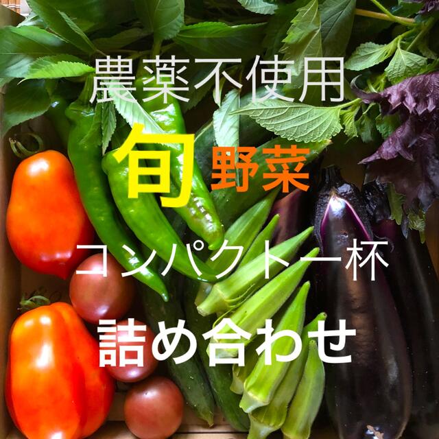 農薬：栽培期間中不使用 ♪旬野菜　詰め合わせ♪コンパクト　採りたて 食品/飲料/酒の食品(野菜)の商品写真