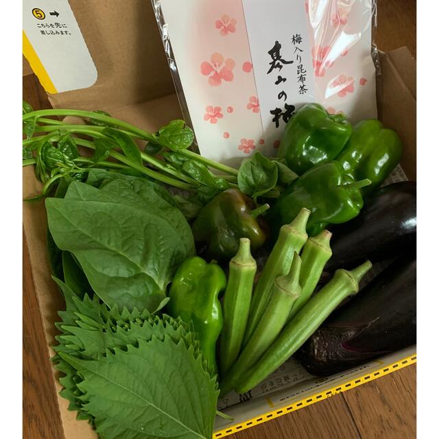 限定品！採れたて農薬不使用野菜＊5種類の詰め合わせ＊夏野菜セット＊コンパクト＊ 食品/飲料/酒の食品(野菜)の商品写真