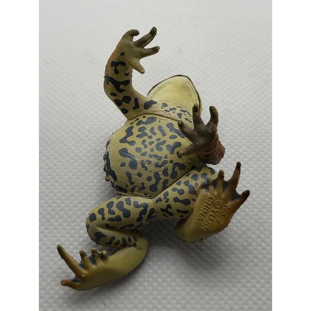 ガチャガチャ アズマヒキガエル カエルフィギュア