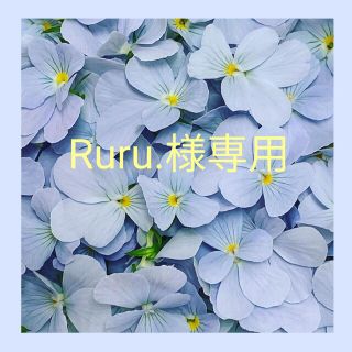 Ruru.様専用(その他)