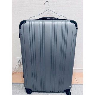 キャリーバッグ　【大型】(旅行用品)