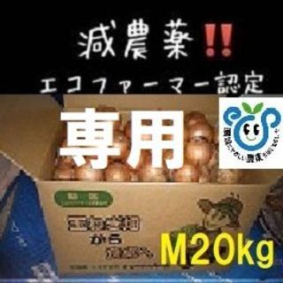 ちぃ坊様 専用 北海道産 玉ねぎ 20kg Mサイズ(野菜)