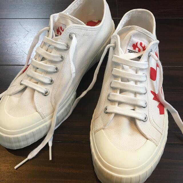 SUPERGA DSPUARED2 スニーカー