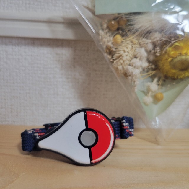 ポケモン(ポケモン)の【中古】ポケモンGOプラス Pokémon GO Plus エンタメ/ホビーのゲームソフト/ゲーム機本体(その他)の商品写真