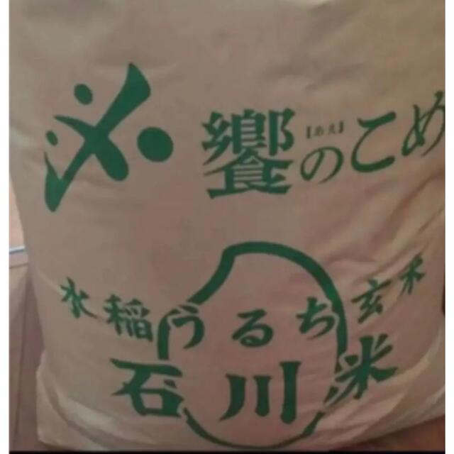 令和4年石川県産新米ゆめみづほ24キロ玄米可能 無農薬有機栽培です