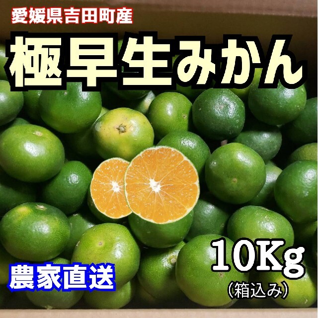 愛媛県産　極早生みかん　柑橘　5kg